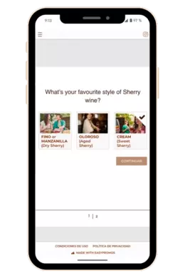 Work on the consumers-brand relationship